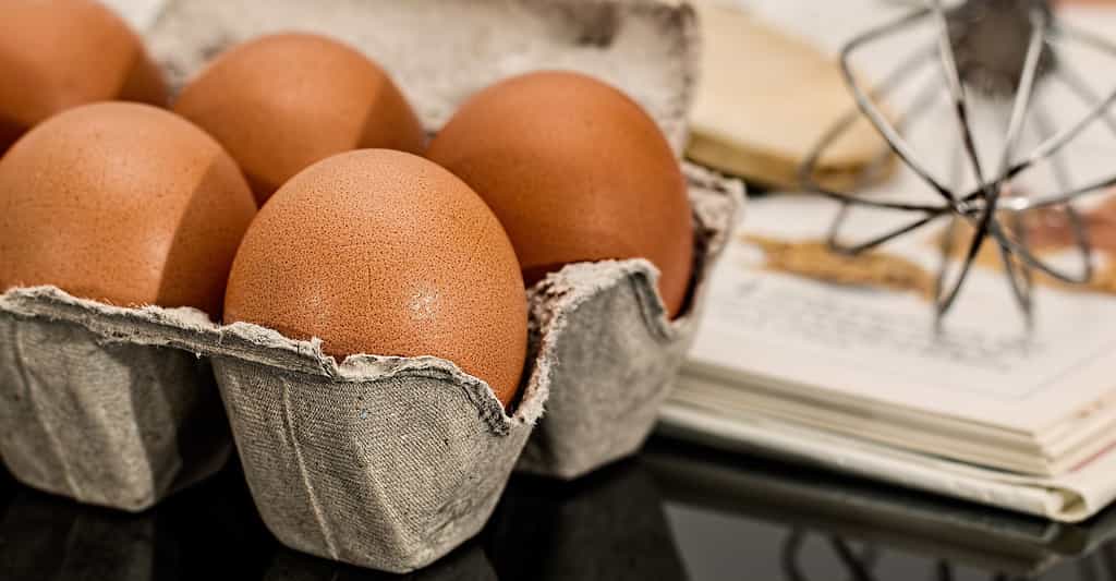 Allergie à l'œuf : aliments à éviter et vaccins