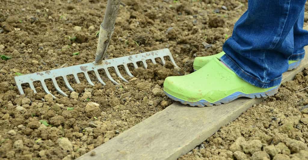 Jardinage : le choix et le drainage d'une terre