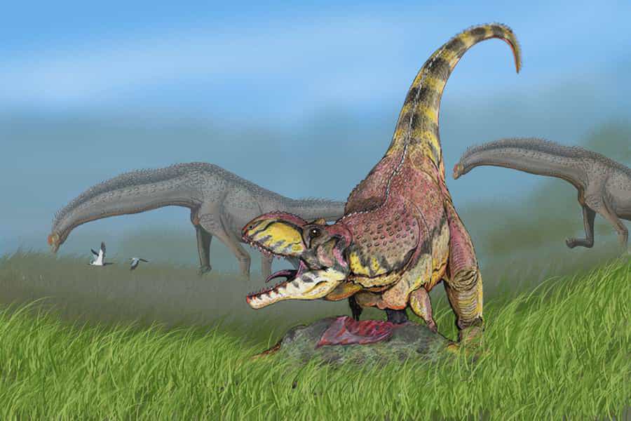 Rajasaurus narmadensis, un Abelisauridé plus tardif que les autres