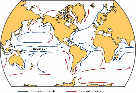 Les grands cycles géochimiques de l'océan