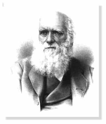 Darwin, théorie de l'évolution