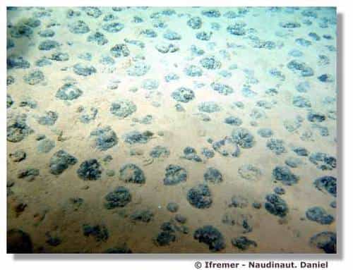Le milieu abyssal, un univers moins connu que l'Espace