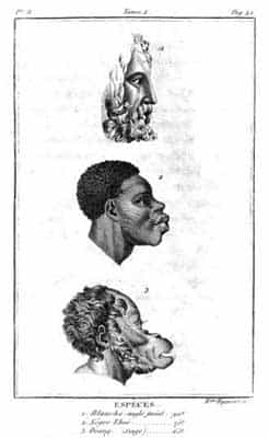 La « race », version ancienne et intégrale