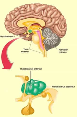 Symptômes de la migraine