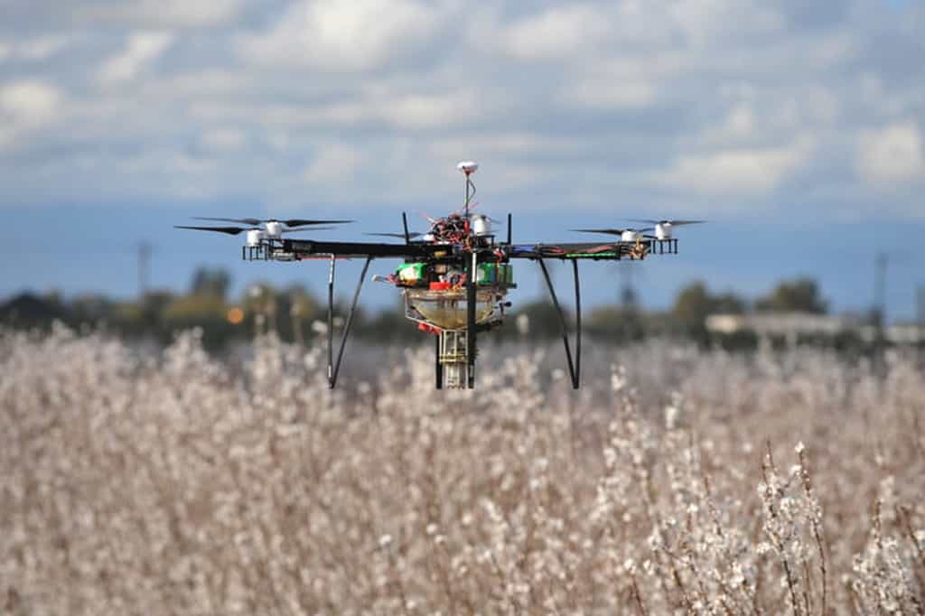 Le drone de Dronecopter peut polliniser jusqu'à 16 hectares en une heure. Sa vitesse est adaptée pour optimiser la pulvérisation du pollen. © Dronecopter