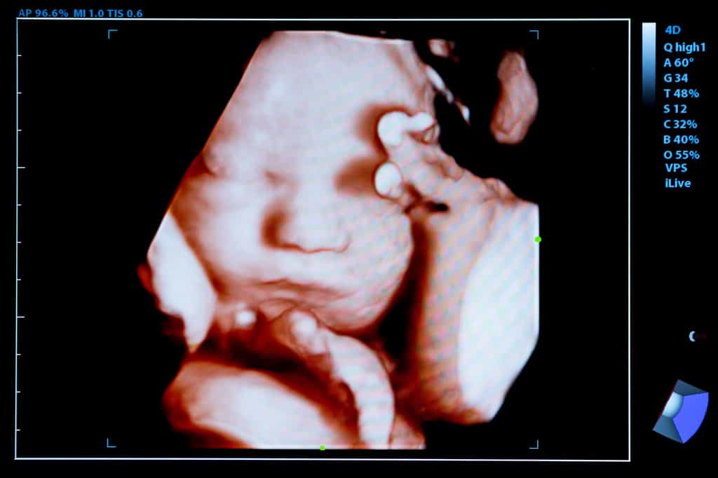 Dans le ventre de leur mère, les bébés réagissent différemment aux saveurs et aux odeurs. © Cylonphoto, Getty Images