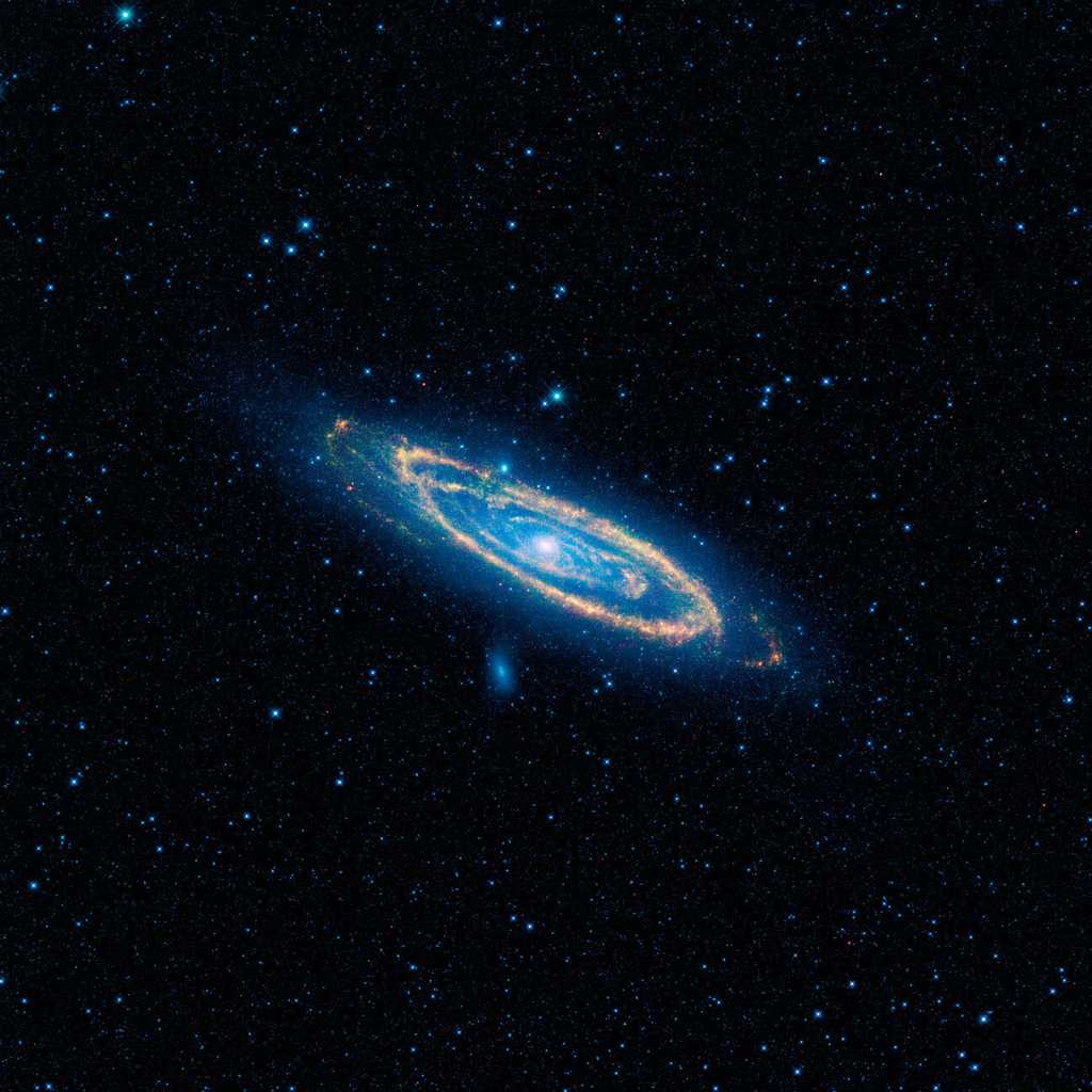 Selon les observations du télescope Wise, la galaxie d'Andromède, voisine de la Voie lactée, n'abrite pas de civilisations extraterrestres avancées. Cela n'exclut pas pour autant la possibilité qu'une vie intelligente se soit développée autour d'une de ses étoiles. © Nasa, JPL, Wise Science Team