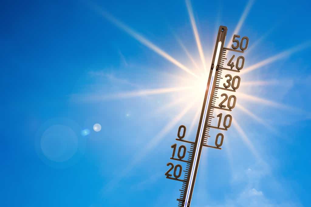 L’été 2018 a été le deuxième plus chaud en France depuis les premiers relevés de température. © John Smith, fotolia