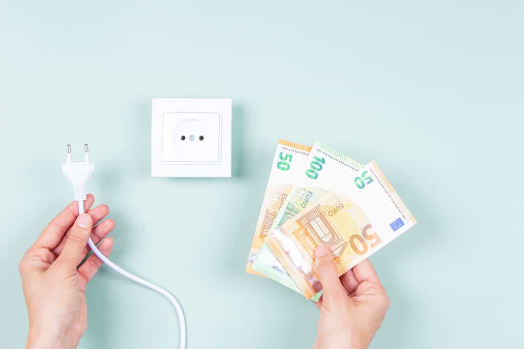 Utiliser un comparateur pour payer son électricité moins cher permet de faire des économies. © Vejaa, Adobe Stock
