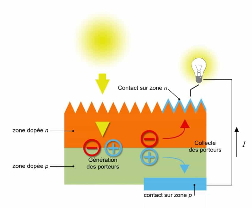 Anatomie d’une cellule photovoltaïque