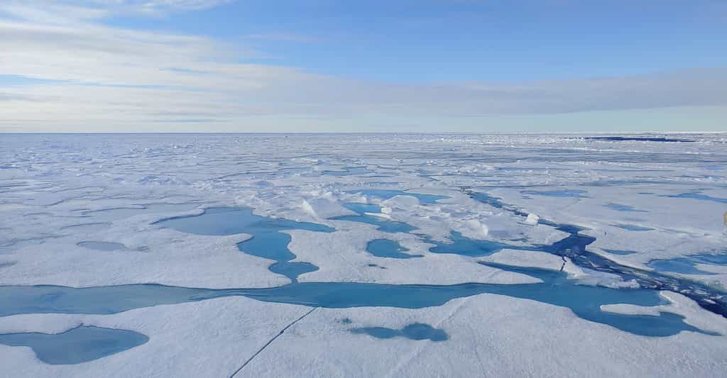 Sur l’océan Arctique, la glace de mer fond à un rythme sans précédent. Le premier jour libre de glace pourrait arriver dès 2027 ! © Céline Heuzé, Université de Göteborg