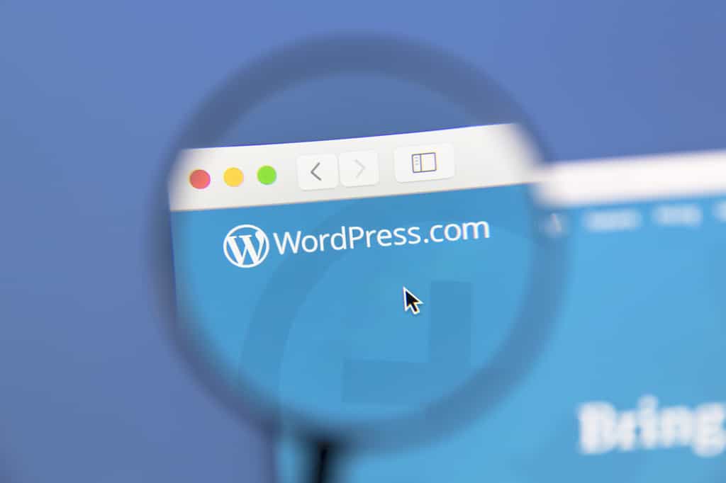 C’est l’un des composants populaires de WordPress qui est exploité pour que le pirate puisse créer un compte administrateur. © IB Photography, Adobe Stock