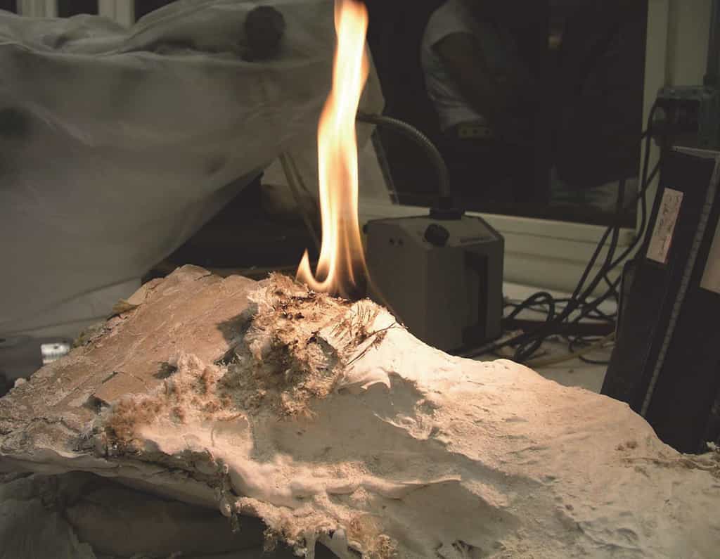 Des paléontologues ont eu l'idée de mettre le feu à la coque de plâtre et de jute qui protège les fossiles pendant leur transport pour les en dégager sans les endommager. © Brown and Holliday, 2021