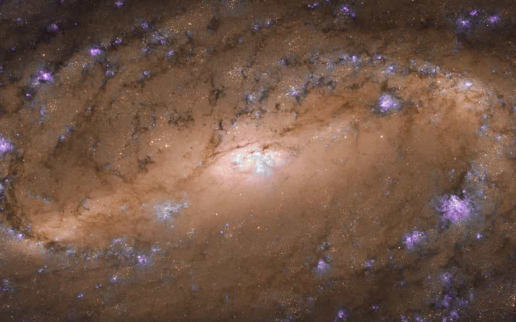 Sur cette image prise par Hubble, on voit NGC 2903, une galaxie spirale barrée située dans la constellation du Lion à environ 25 millions d'années-lumière de la Voie lactée. © Nasa, ESA