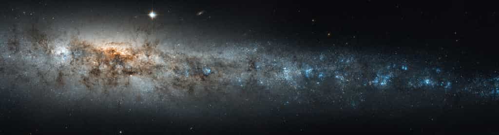 La galaxie de la baleine, encore appelée NGC 4631, est une galaxie spirale légèrement plus petite que notre Voie lactée. Et des astronomes dévoilent aujourd’hui une image impressionnante des cordes magnétiques géantes dans son halo. © Nasa, ESA, Hubble