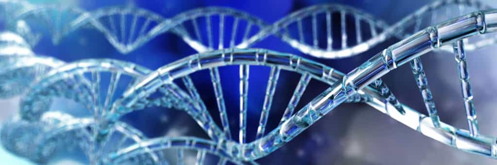 Le génotypage permet d'identifier la composition génétique d'un individu. © ustas, Adobe Stock
