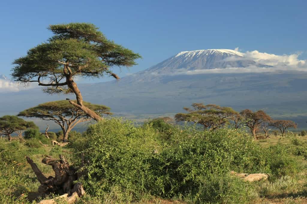 Les glaciers de tous les sites d’Afrique inscrits au Patrimoine mondial auront très probablement disparu d’ici 2050, y compris celui du Parc national du Kilimandjaro. © Pascal, Adobe Stock