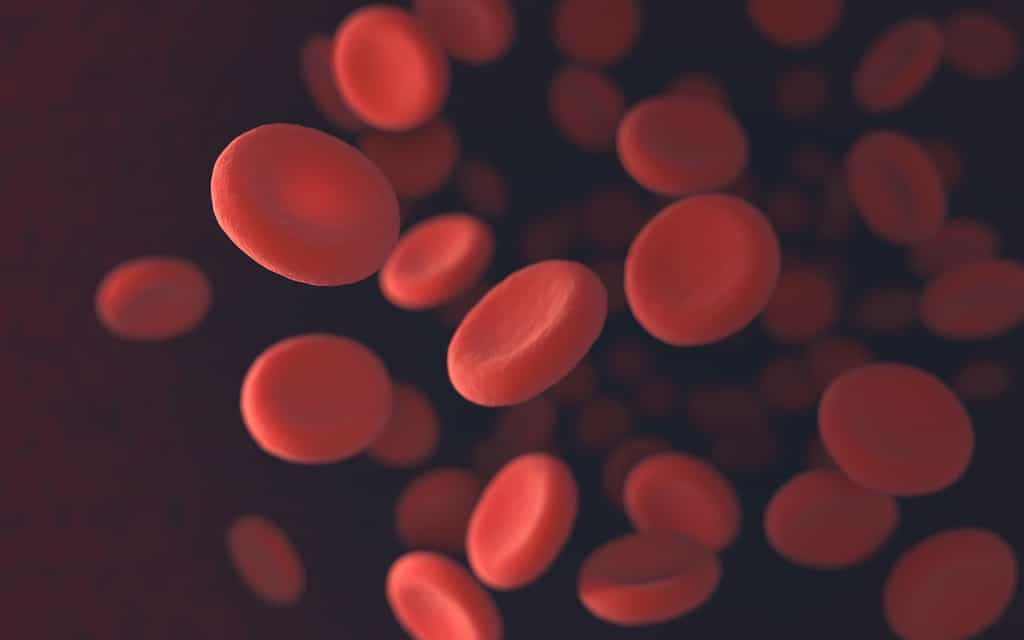 Chez les patients hémophiles, le sang coagule mal. © ktsdesign, Fotolia