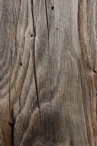 Le flipot permet de cacher une fente dans une pièce de bois. © TeXtuRes Of, CC BY 2.0, Flickr