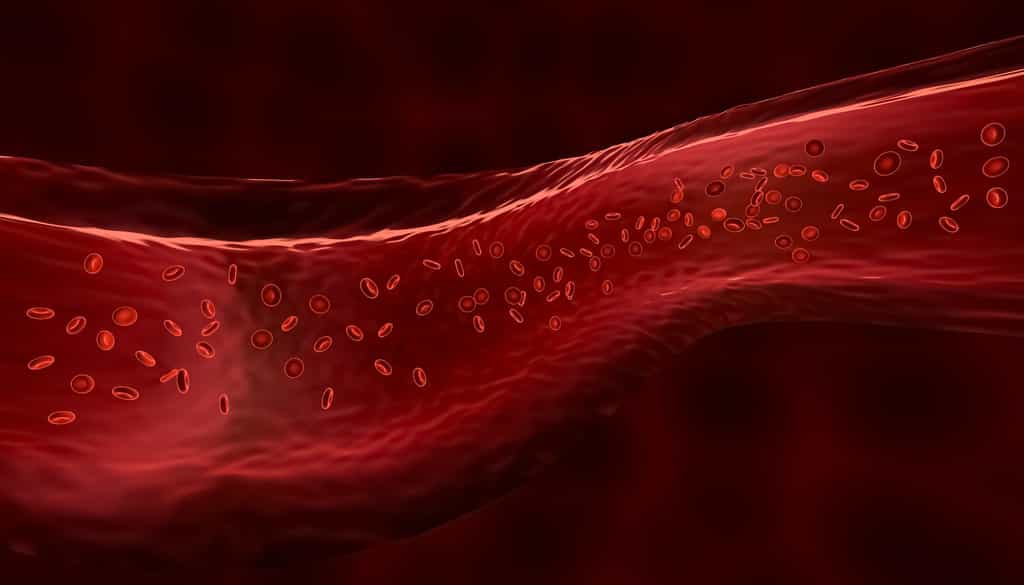 L’hémoglobine est la protéine des globules rouges transporte l’oxygène dans le sang. © Matthieu, Adobe Stock
