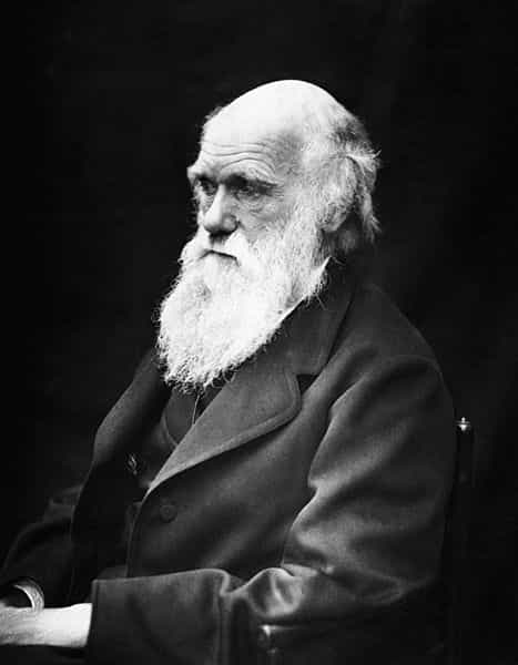 Charles Darwin est l'un des scientifiques les plus marquants de l'histoire. Présentée le 1er juillet 1858, sa théorie de l'évolution, d'abord contestée par une partie de ses contemporains, a finalement été peu à peu acceptée par ses pairs. © J. Cameron, Wikimédia Commons, DP