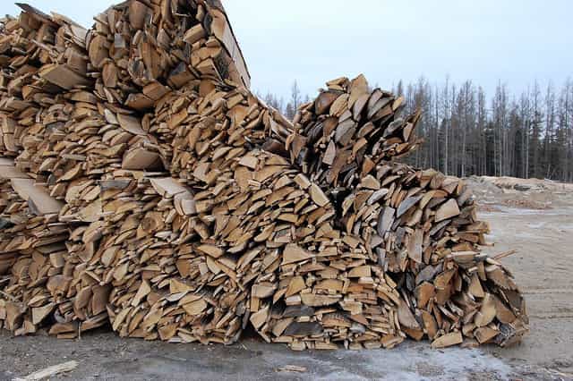 La dendroénergie pourrait fournir 46 % de la consommation mondiale d’énergie. © Eli Sagor, cc by nc 2.0