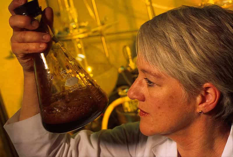 Une technicienne de Vision Paper examine un échantillon de liqueur noire. © Keith Weller / Agricultural Research Service, domaine public
