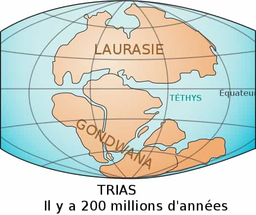 Le supercontinent Gondwana se serait formé voici 600 millions d'années. Il a été nommé ainsi par Eduard Suess à partir du nom d'une région indienne, Gondwâna, où des traces de son existence persistent encore à ce jour.&nbsp;© Benoît Rochon, Wikimedia Common, CC by-sa 3.0