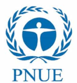 Le Programme des Nations unies pour l’environnement fut créé en 1972, à l’occasion du premier Sommet de la Terre. © PNUE