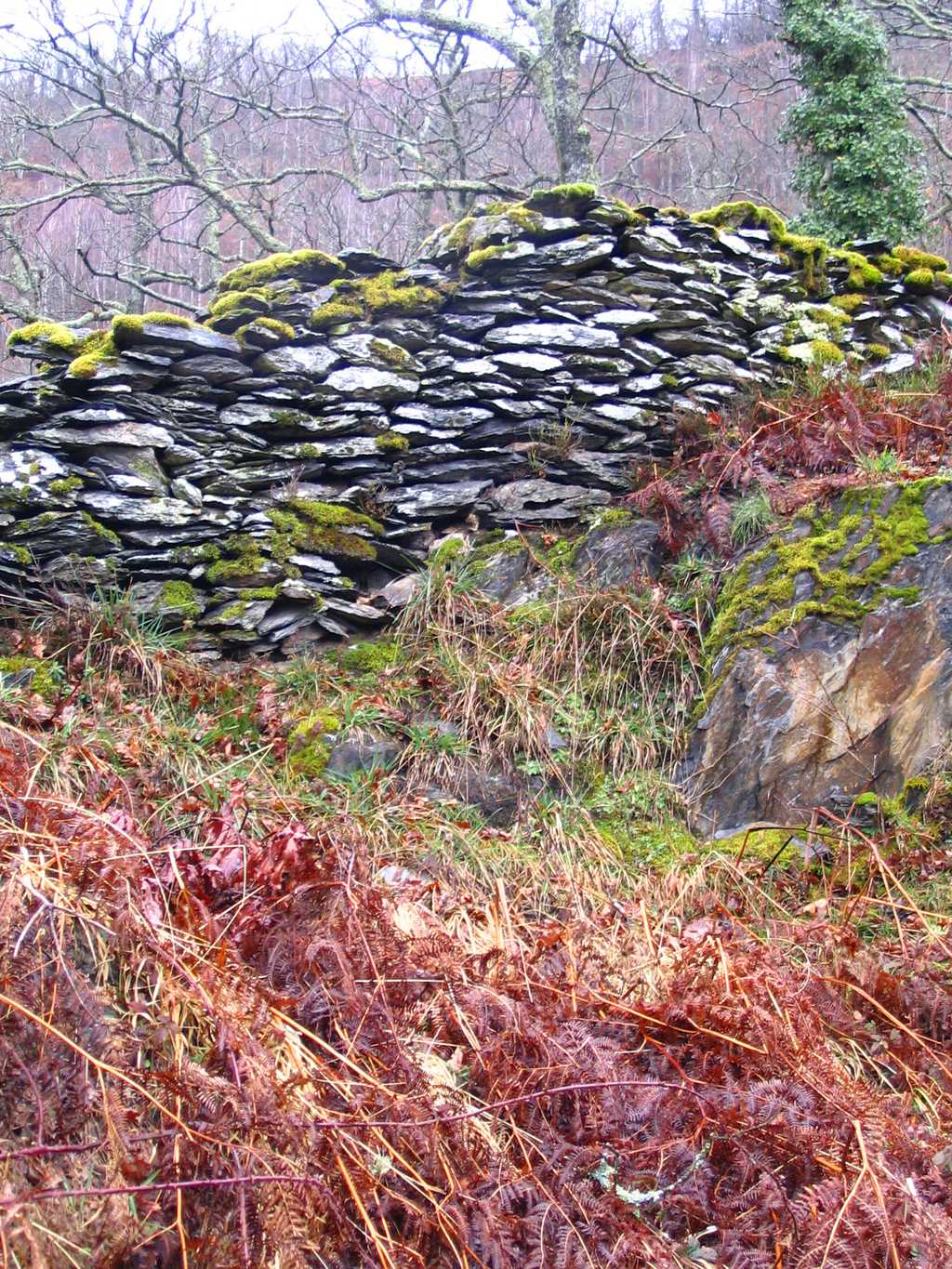 Un muret est un petit mur servant de barrière ou de clôture. © P Charpiat, CC BY-SA 3.0, Wikimedia Commons