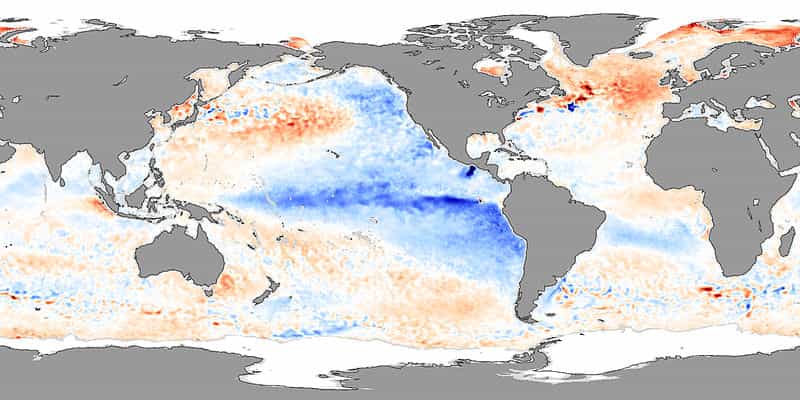 En 2007, la Niña avait provoqué des anomalies de températures. Sur la carte, les couleurs froides (bleu) représentent une anomalie négative, soit une baisse des température. On observe donc bien un refroidissement de l'eau en surface, dans l'est du Pacifique et en particulier le long des côtes américaines. © Nasa, Jesse Allen