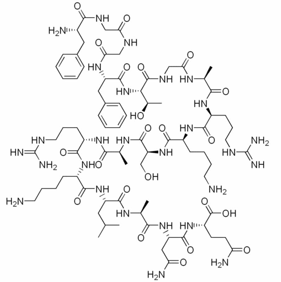 La nociceptine est un peptide constitué de 17 acides aminés. Dans le cerveau, il peut se fixer sur les récepteurs de type ORL-1, dont la structure est très proche de celle des récepteurs aux opioïdes. © Edgar181, Wikimedia Commons