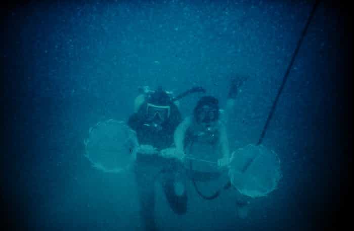 Récolte de neige marine. © NOAA