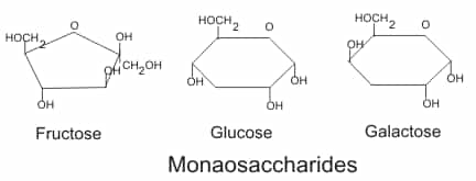Structure des oses (monosaccharides) les plus communs. © Boumphreyfr, Wikimédia CC by-sa 3.0