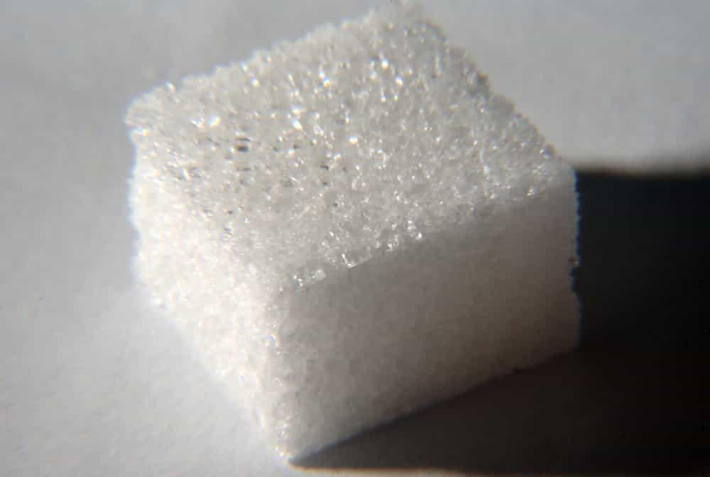 Le sucre (plus précisément le glucose), fabriqué par le foie à partir des aliments, est diffusé dans le sang et sert de source d'énergie pour les cellules. Les muscles et les neurones du cerveau en sont de grands consommateurs, et un manque de sucre dans le sang se manifeste à leur niveau. Le maintien d'une certaine glycémie (taux de sucre dans le sang) est vital pour un animal. © Zigazou76, Flickr, cc by nc sa 2.0