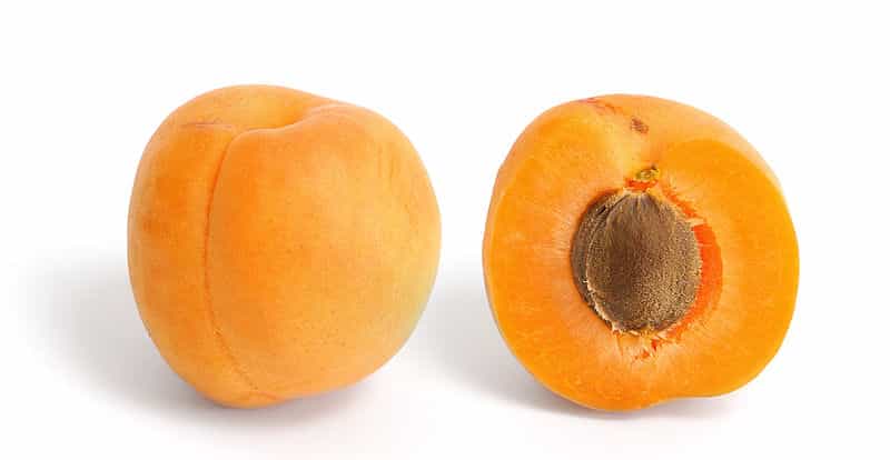 Les abricots sont des fruits d'été, parfaits pour un régime alimentaire sain. © Wikimedia Commons