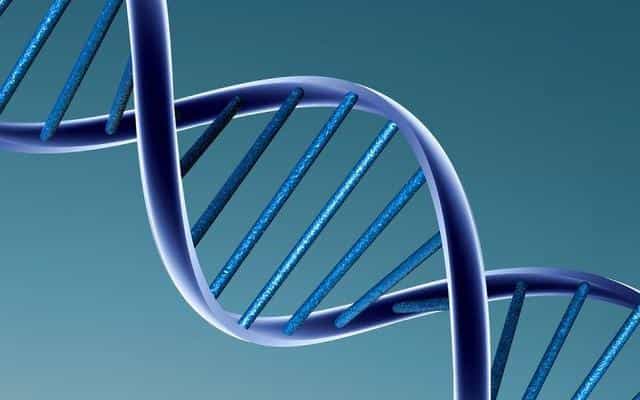 L'ADN est la base de l'empreinte génétique. © Caroline Davis, Licence CC