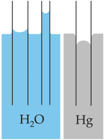 Définition | Capillarité | Futura Sciences