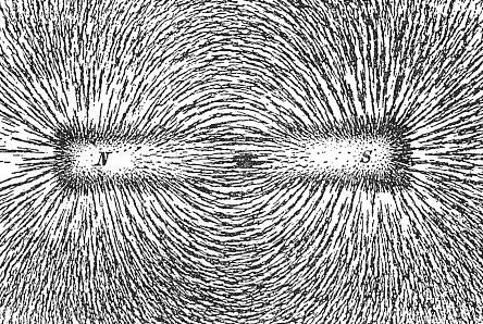Visualisation du champ magnétique d’un aimant droit. © DR