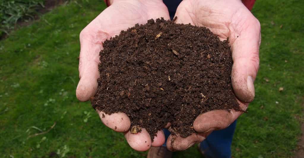 Le compost est issu de la fermentation de déchets organiques. Il ressemble à du terreau. © jokevanderleij8, Pixabay, CC0 Creative Commons