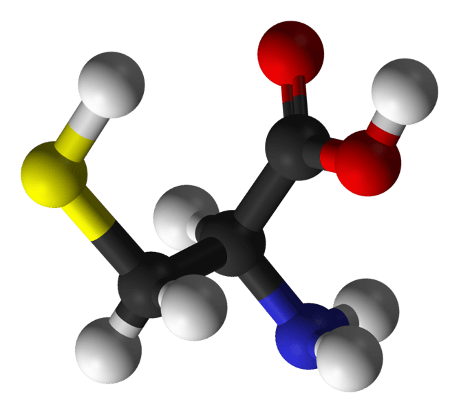 La cystéine est un acide aminé qui contient un atome de soufre (carbone en noir, oxygène en rouge, azote en bleu, hydrogène en blanc et soufre en jaune). © Photohound, domaine public
