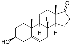 La DHEA est une hormone stéroïdienne dont la structure est proche de celle de la testostérone. Crédits DR.