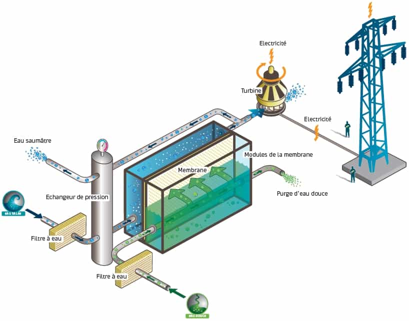 Schéma de fonctionnement d'une centrale électrique osmotique. L'eau saumâtre, donc salée (en bleu), passe dans un compartiment séparé par une membrane semi-poreuse d'un compartiment alimenté en eau douce (en vert). Par osmose, l'eau passe à travers la membrane vers la masse d'eau la plus salée, pour la diluer. Le niveau baisse d'autant dans le compartiment d'eau douce et provoque une augmentation de pression dans l'autre. Celle-ci est alors exploitée pour faire tourner une turbine productrice d'électricité. © Statkraft