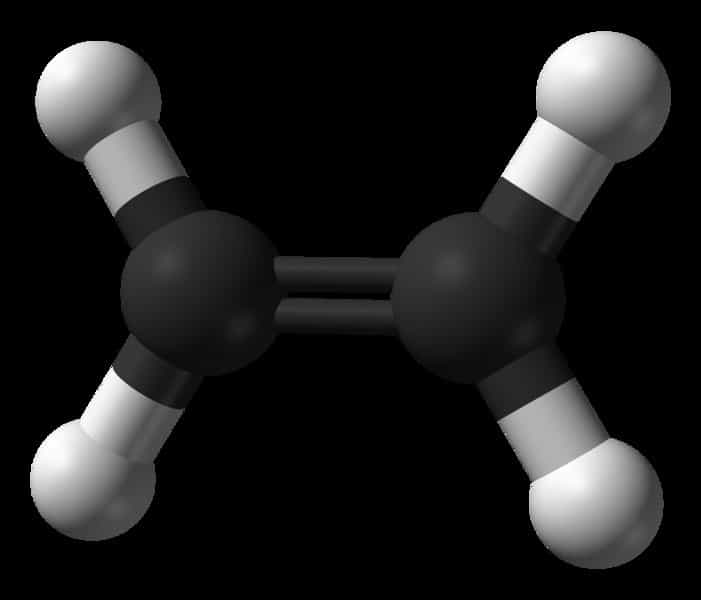 Une représentation de la molécule d'éthylène. On remarque les deux atomes de carbone (en noir), maintenus par leur double liaison, et les quatre atomes d'hydrogène (en blanc). La double liaison peut laisser place à une simple liaison, chaque atome de carbone pouvant alors se lier à un autre atome ou une autre molécule. C'est ainsi que l'on peut polymériser l'éthylène en accrochant les molécules les unes aux autres. © Domaine public