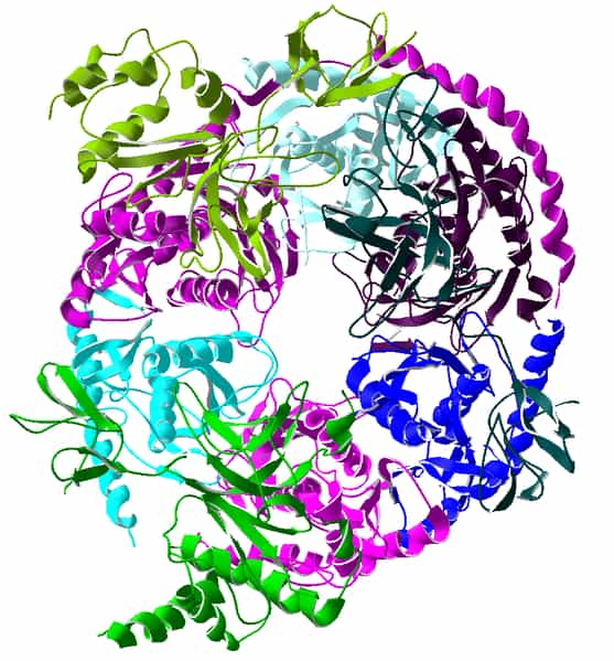 L'exosome est un complexe protéique de forme circulaire. © Reinoutr, Wikimedia, CC by-sa 3.0