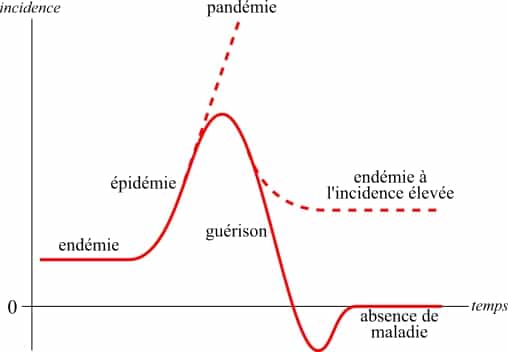 L'incidence d'une maladie, comme sa prévalence d'ailleurs, permet notamment de mettre en avant des épisodes épidémiques par exemple. © Laurent Mignon, Wikipédia, DP