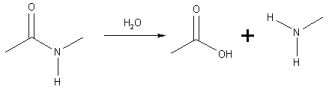 Une hydrolase permet de couper des liaisons covalentes à l'aide d'une molécule d'eau. © DR