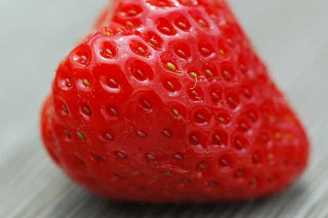 La Mara des bois est une variété de fraise dont le goût est proche de celui des fraises des bois. © Guillaume Brialon, Flickr, CC by-nc-sa 2.0