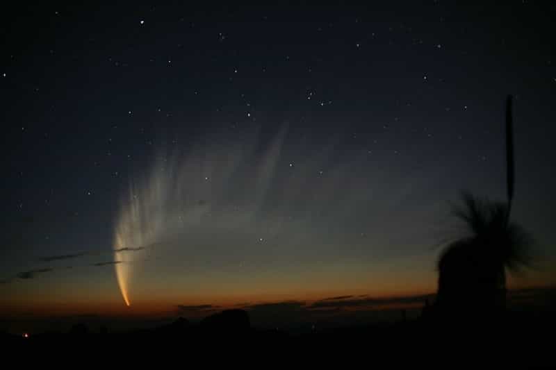 La comète C/2006 P1 photographiée au début de l'année 2007. Crédit R. H. McNaught