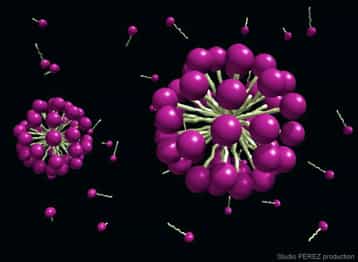 Les molécules amphiphiles (contenues dans les tensioactifs) ont un pôle hydrophile (en mauve) et une queue hydrophobe. Dans l’eau, elles peuvent s’agencer pour former des micelles en forme de bulle. Les parties présentant une affinité avec l’eau sont alors à la surface des sphères, protégeant les queues de tout contact avec le milieu. © Emile Perez (Laboratoire IMRCP, Toulouse), CNRS